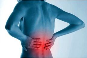 The focus of osteochondrosis of the spine
