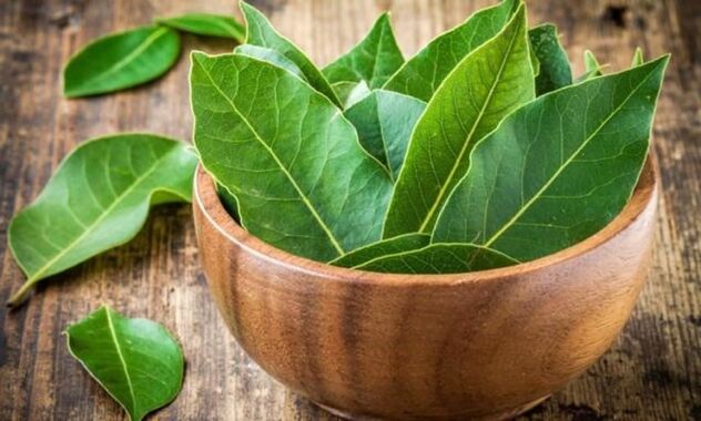 Bay leaves for making a decoction that relieves swelling of the knee with joints